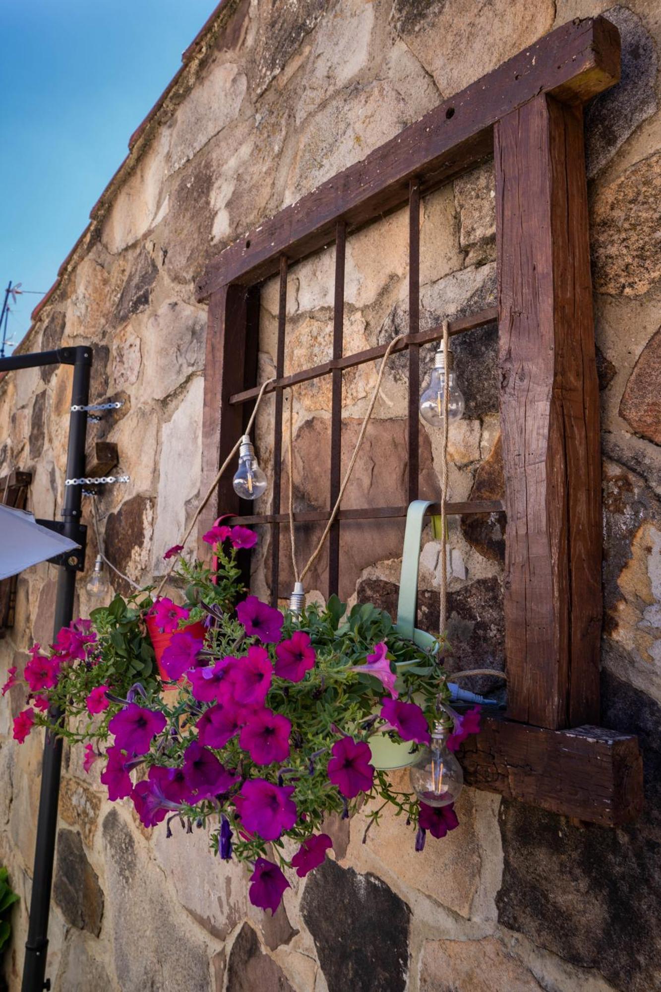 Posada Rural La Pinorra Vinuesa Bagian luar foto